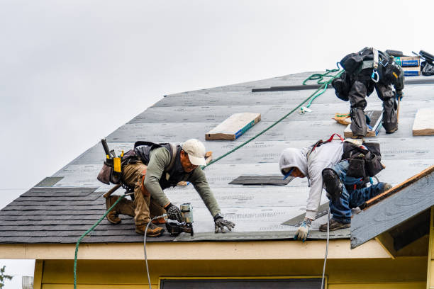 Professional Roofing technician working in Humansville, MO